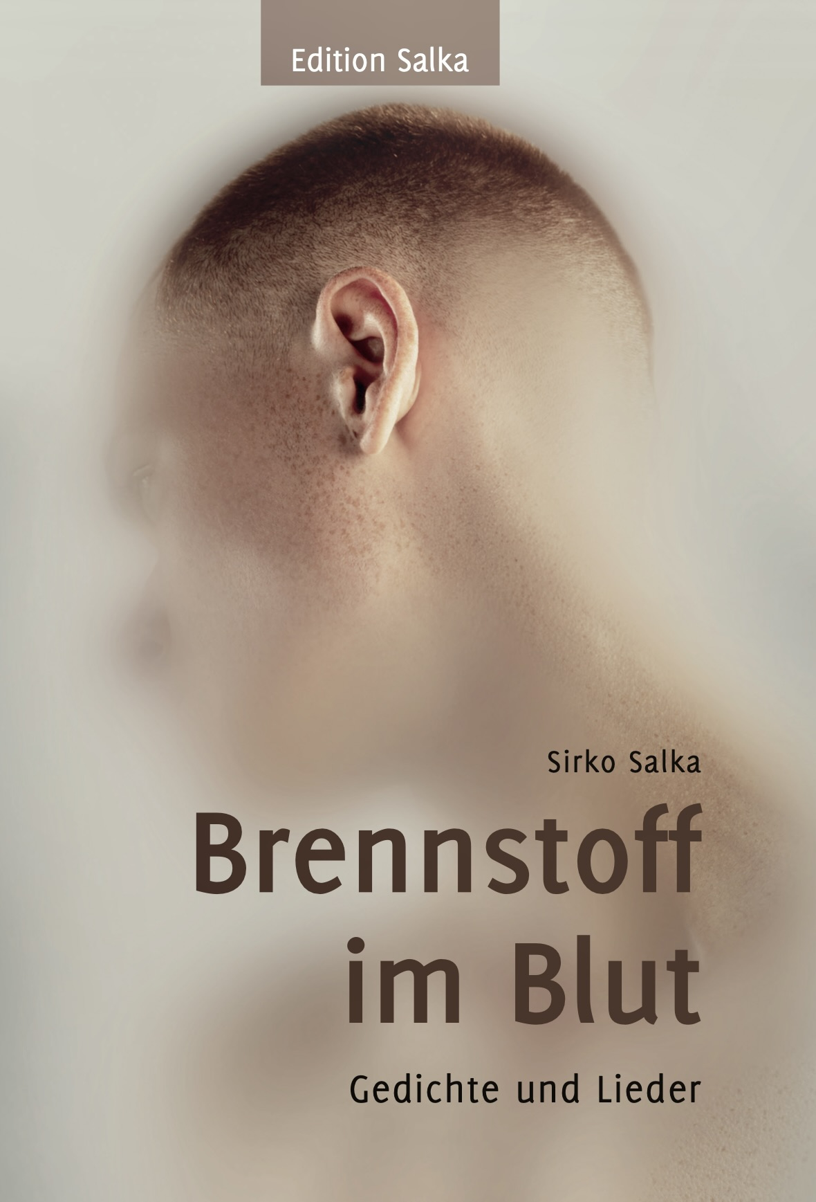 Cover: Brennstoff im Blut. Gedichte und Lieder